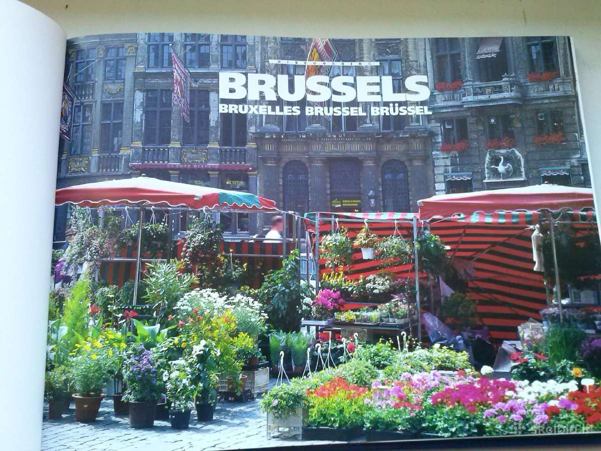 Knyga Brussels