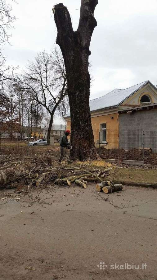 Greitas ir kokybiškas avarinių medžių pjovimas
