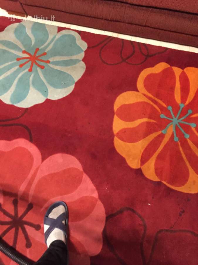 Laisvas: Plaunantis siurblys Kärcher Puzzi nuoma - nuotraukos Nr. 12