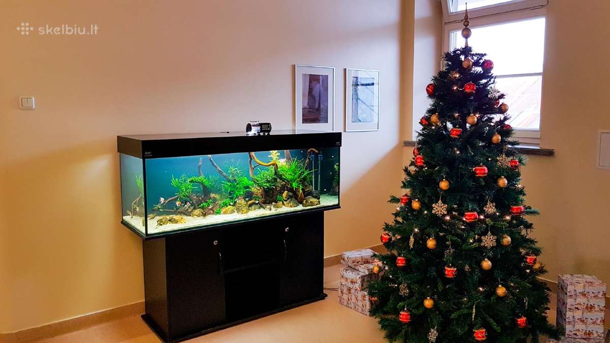 Visokių tipų ir dydžių akvariumų gamyba, įrengimas - nuotraukos Nr. 9