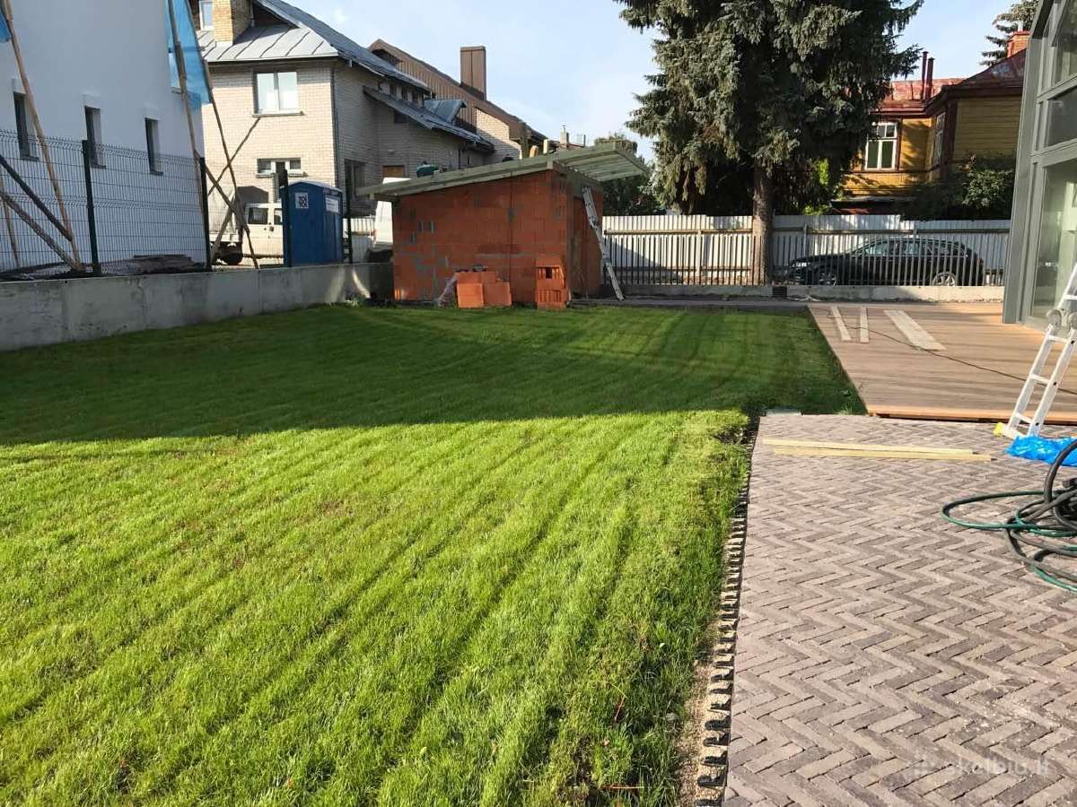 Alpinariumų ir gelynų įrengimas Vejos įrengimas. - nuotraukos Nr. 20