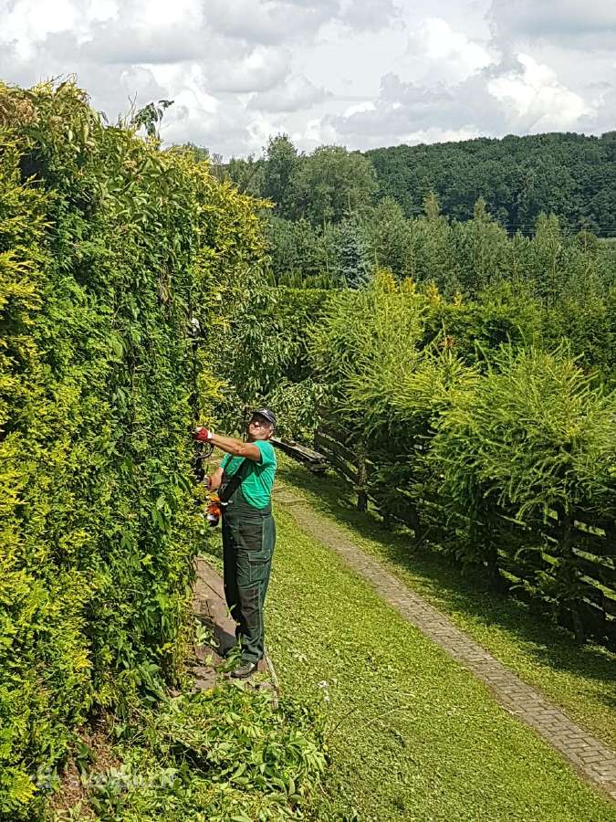 Tvarkom .pjaunam.sodinam - nuotraukos Nr. 8