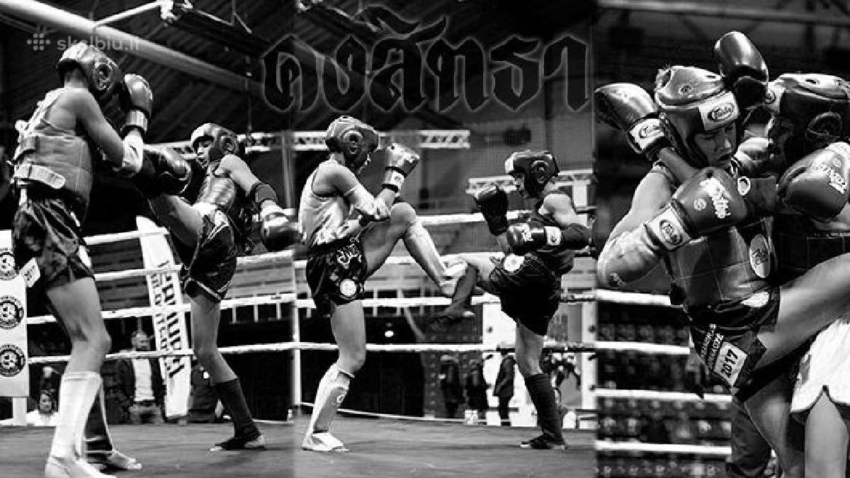 Vasaros Muay Thai treniruotės Vilniuje.
