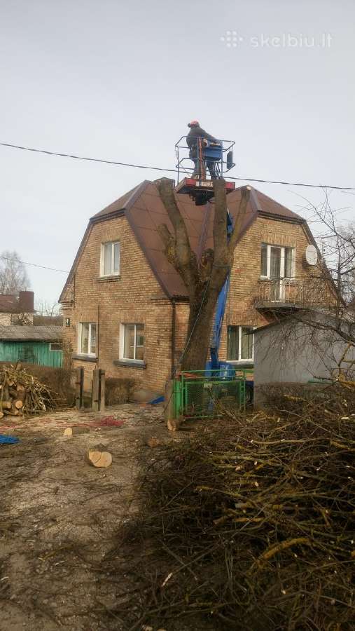 Pavojingų medžių pjovimas, genėjimas - nuotraukos Nr. 16
