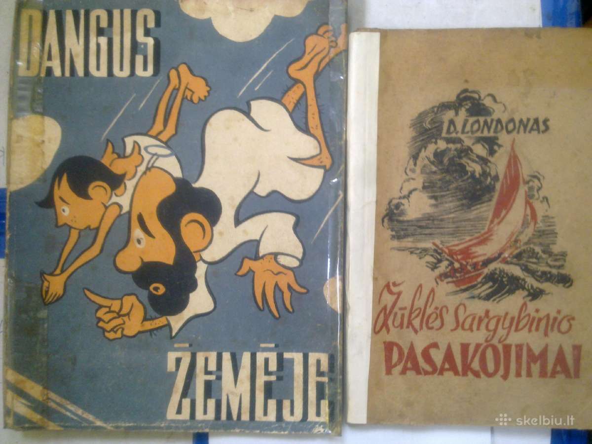 Dangus žemėje