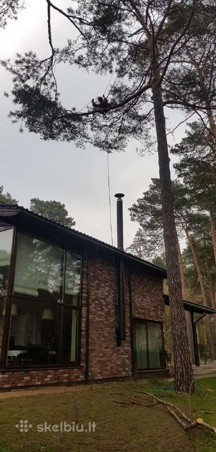 Arboristas. Medžių pjovimas, kelmų naikinimas - nuotraukos Nr. 9