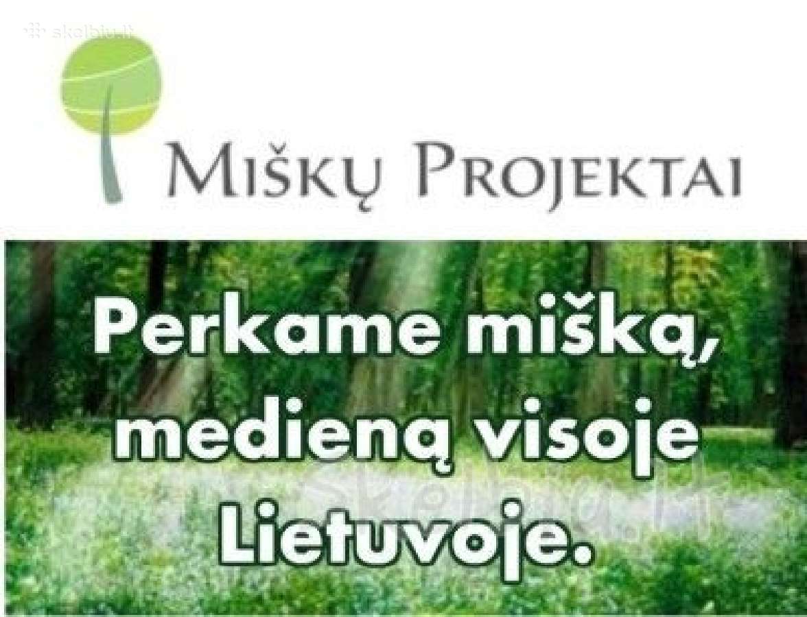 UAB "Miškų projektai" perka mišką