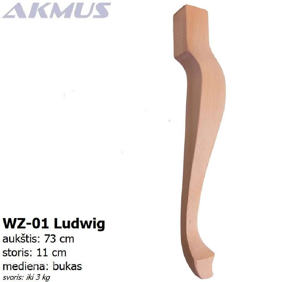 Lentynos drabužinėms, patalpoms,garažams - nuotraukos Nr. 9