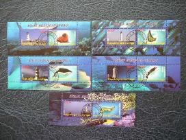 Svyturiai Delfinai Meskos Kongas 2010 s643/7