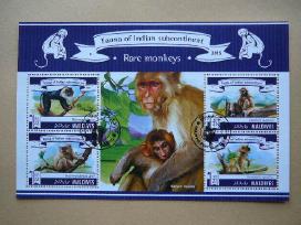 Bezdziones Maldyvai 2015 antsp. mal223