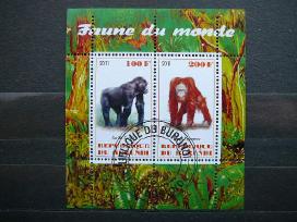 Bezdziones Burundis 2011 antsp. g306