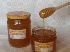 Medus ir kiti bičių produktai