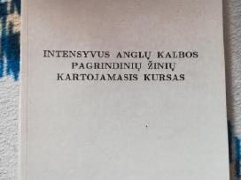 R. Aprijaskytė anglų užduotys