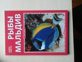 Parduodamas žurnalas apie Maldyvų žuvis.