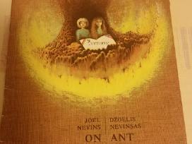Ant ugnies kalno
