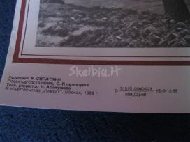 Plakatas. kolekcijai.zr. foto.nr.7 - nuotraukos Nr. 4 | Skelbiu.lt Plakatas. kolekcijai.zr. foto.nr.7 - nuotraukos Nr. 4