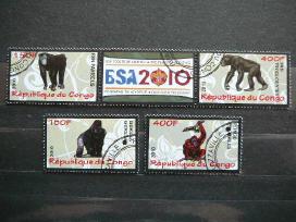 Bezdziones Kongas 2010 antsp. s636b