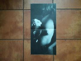 Panevėžio fotografų darbai 1991metai