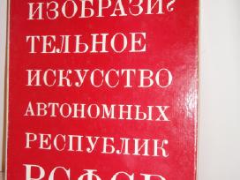 Изобразительное искусство автономных республик Рсф