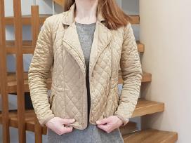Massimo Dutti striukė