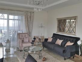 Modernios klasikos sofa
