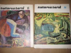 Kultūros barai