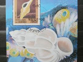 Kriaukles Gvineja 1998 antsp. blk847