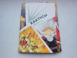 Atviručių komplektas "kaktusai"