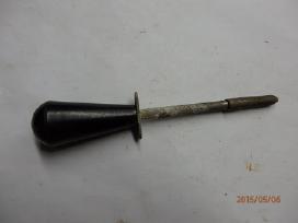 Seniena