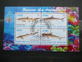 Rykliai Burundis 2011 antsp. j222