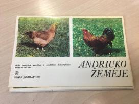 Foto nuotraukų rinkinukas