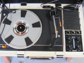 Wifona corona