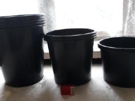 Kibirai sodinimui