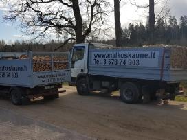 Malkos Kaune ir aplinkui