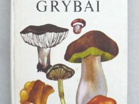 Lietuvos grybai