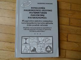 Pagrindinio ugdymo matematikos pasiekimu patikrin.