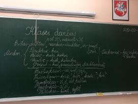 Lietuvių kalbos mokymas