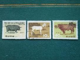 Korea .1967 m.