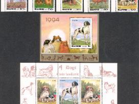 Šiaurės Korėja 1994. Šunys.