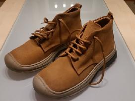 Bears Company