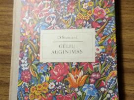 Gėlių auginimas