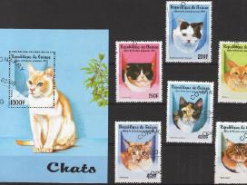 Katės. 1998 Gvinėja.