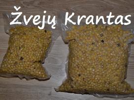 Šutinti žirniai