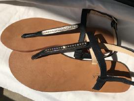 Carvela basutes