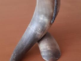 Dekoracija is jaucio rago
