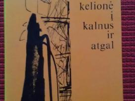 "Kelionė į kalnus ir atgal"sluckis Mykolas