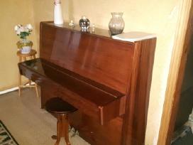 Pianinas Belarus