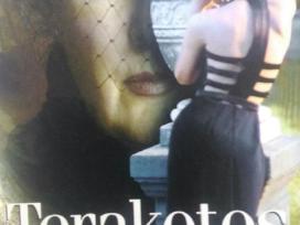 Terakotos rūmai