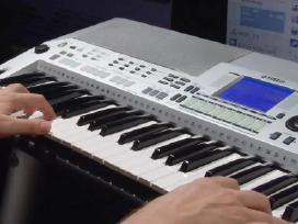 Muzikanto paslaugos