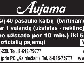 Vertėjai, kurie gali dirbti nuotoliniu būdu